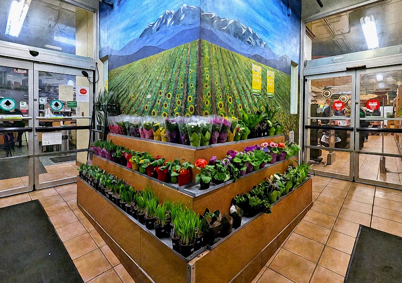 Choices Markets 4