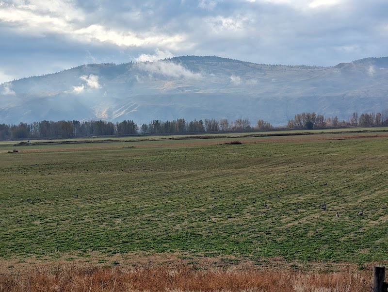 Cinnamon Ridge Effuent Distribution System 4