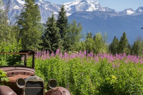 Cinnamon Ridge Farms Ltd