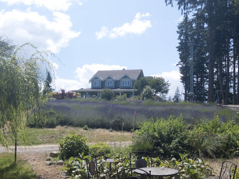 Cobble Hill Winery 3
