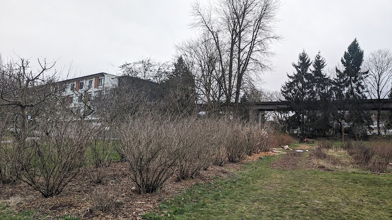 Copley Community Orchard 2