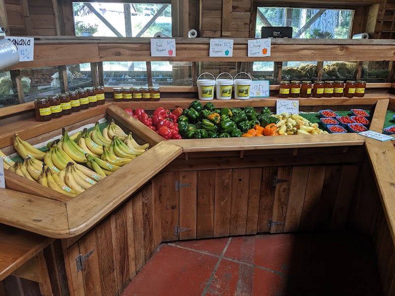 Cormie Farm 3
