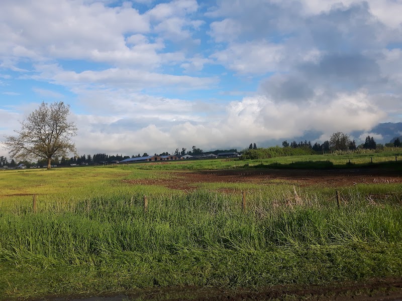 Corner's Pride Farms Ltd 4
