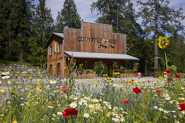 Country Bee Honey Farm