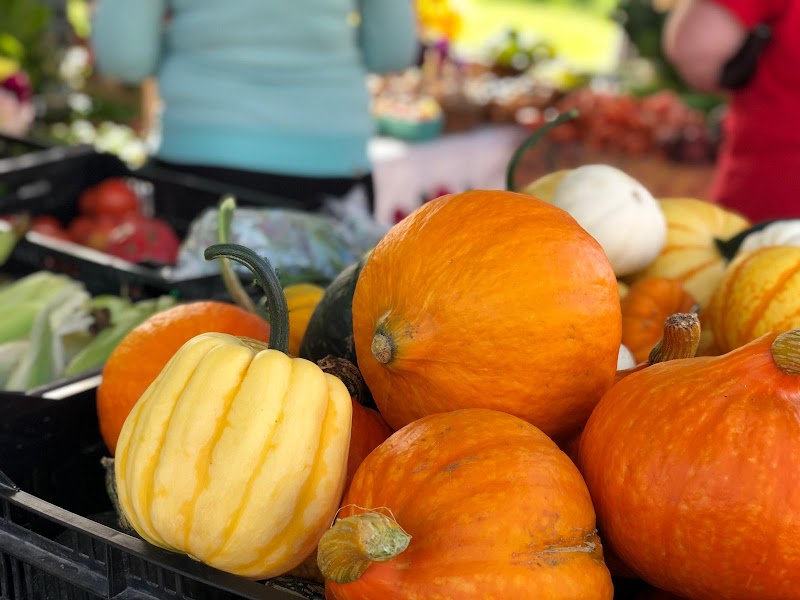 Cranbrook Farmer’s Market 3