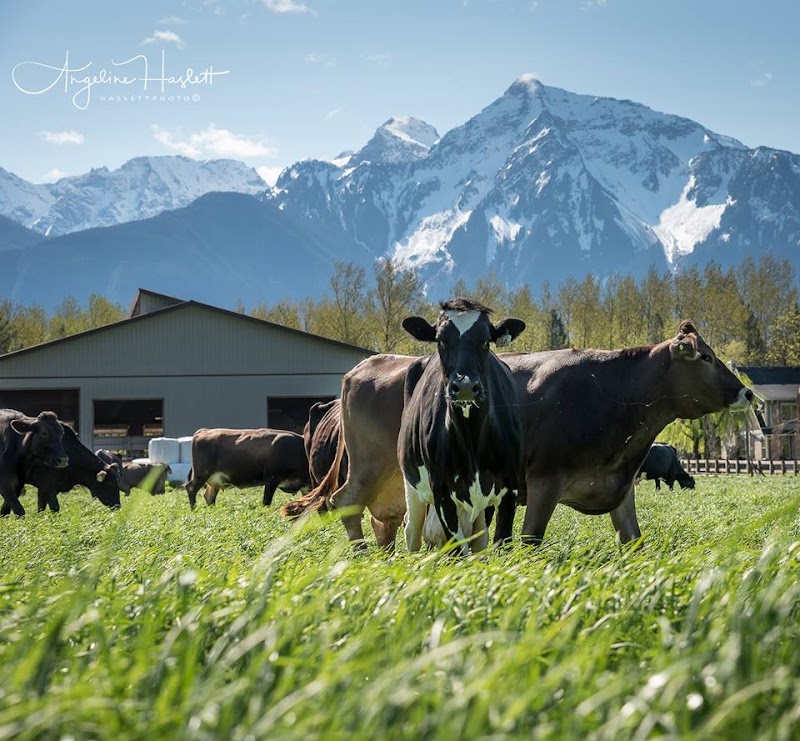 Creekside Cheese + Creamery 5