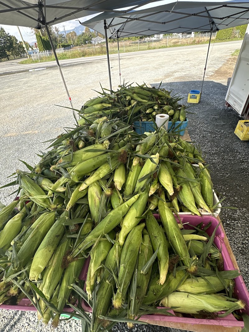 Dashmesh Ji Farms 5