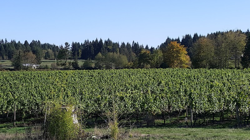Deol Family Estate Winery 4