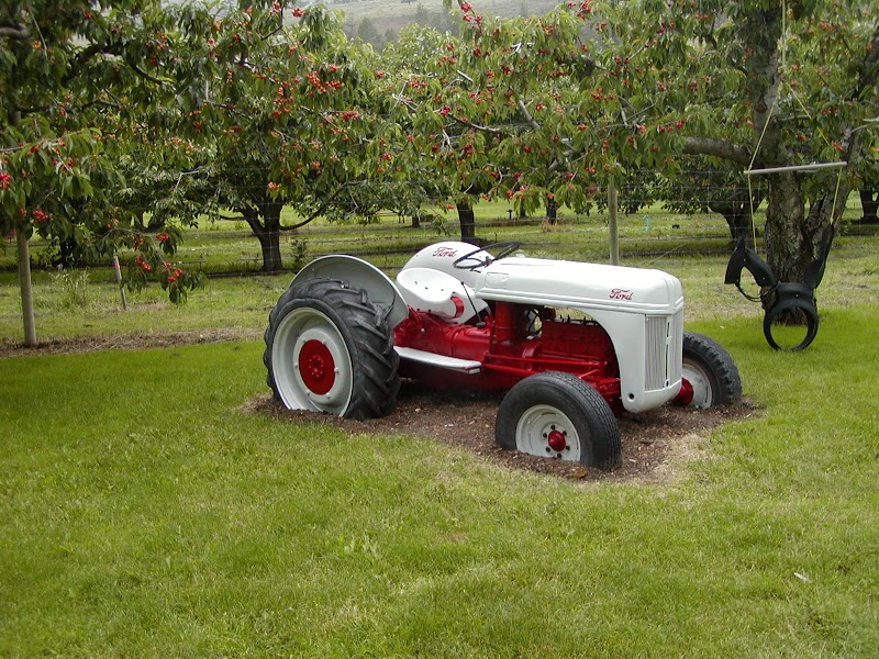 Dickinson Family Farm 4