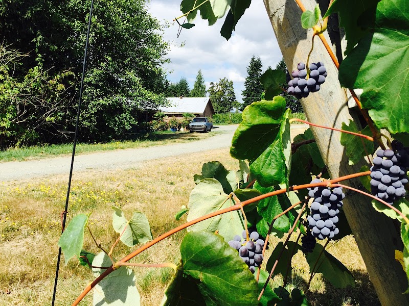 Divino Estate Winery
