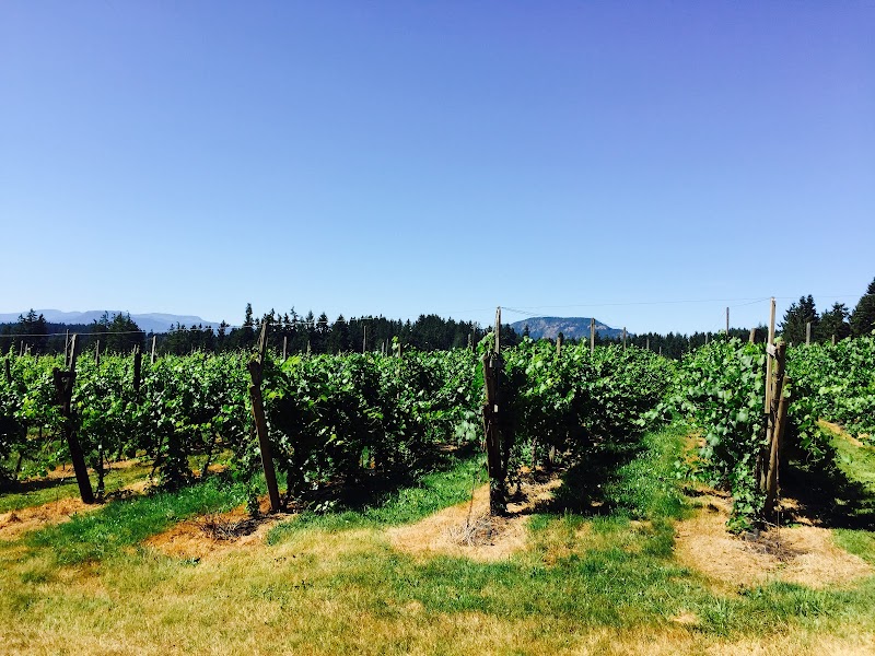 Divino Estate Winery 2
