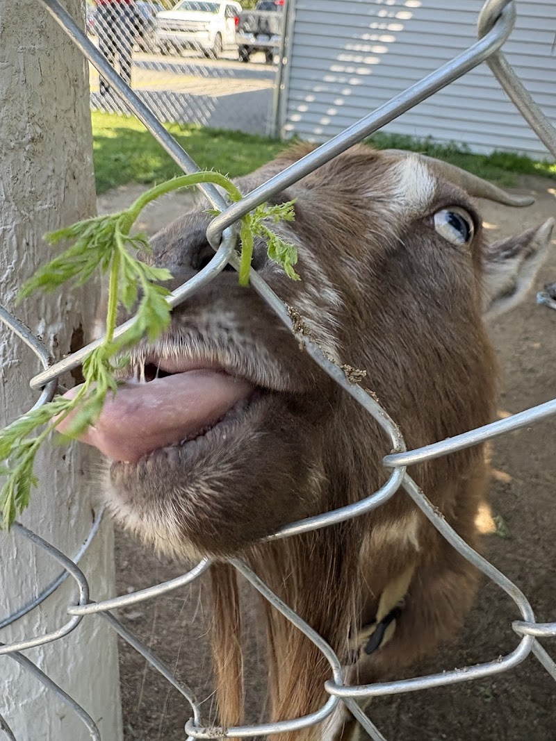 Don-O-Ray Farm Adventure 2