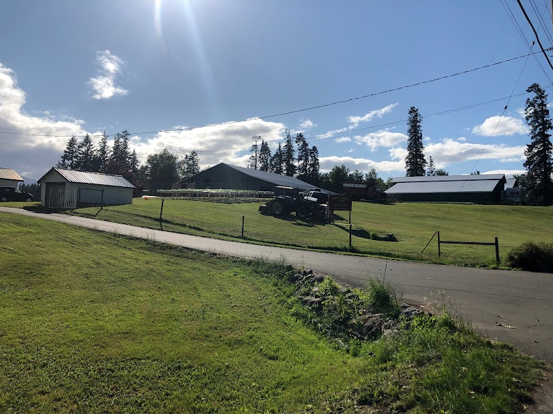 Dove Creek Produce Farm 4