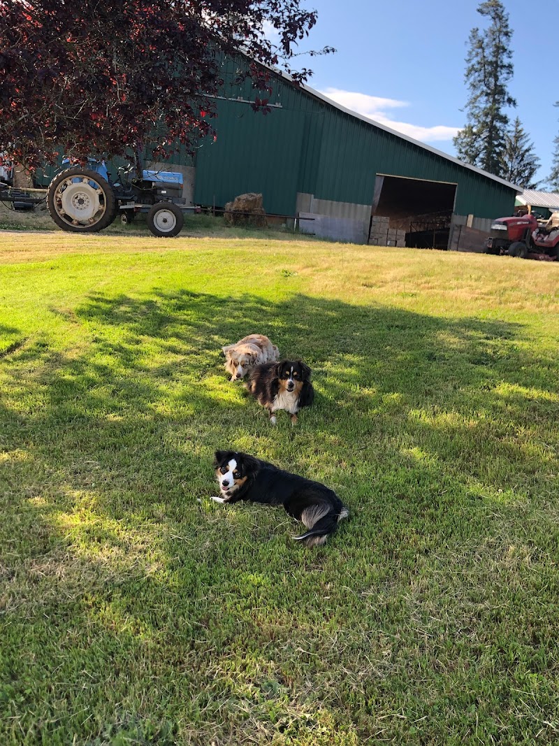 Dove Creek Produce Farm 5