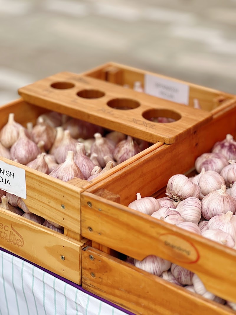 Downtown Farmers Market 5