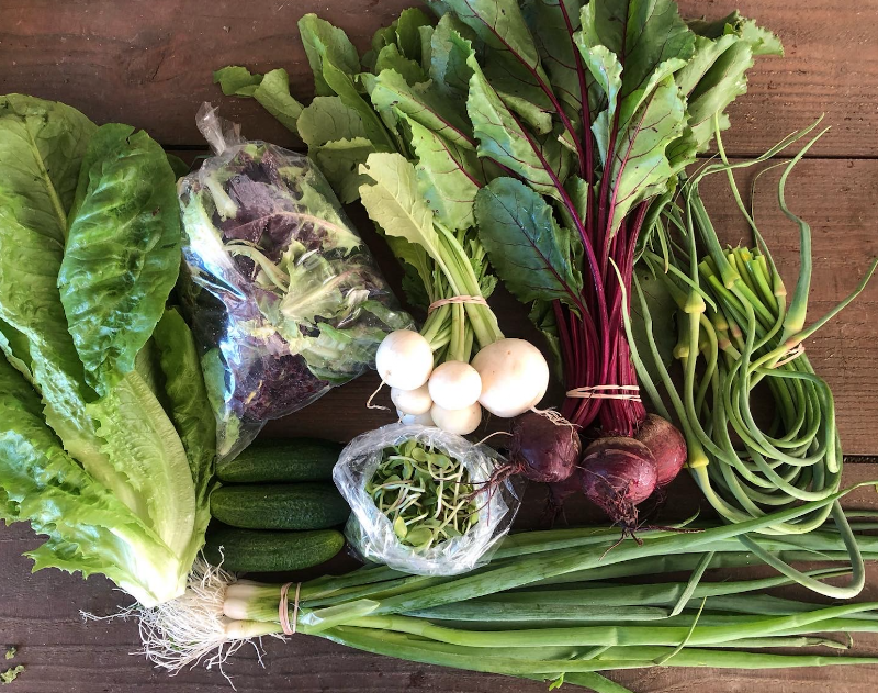 Duck Creek Farm 2
