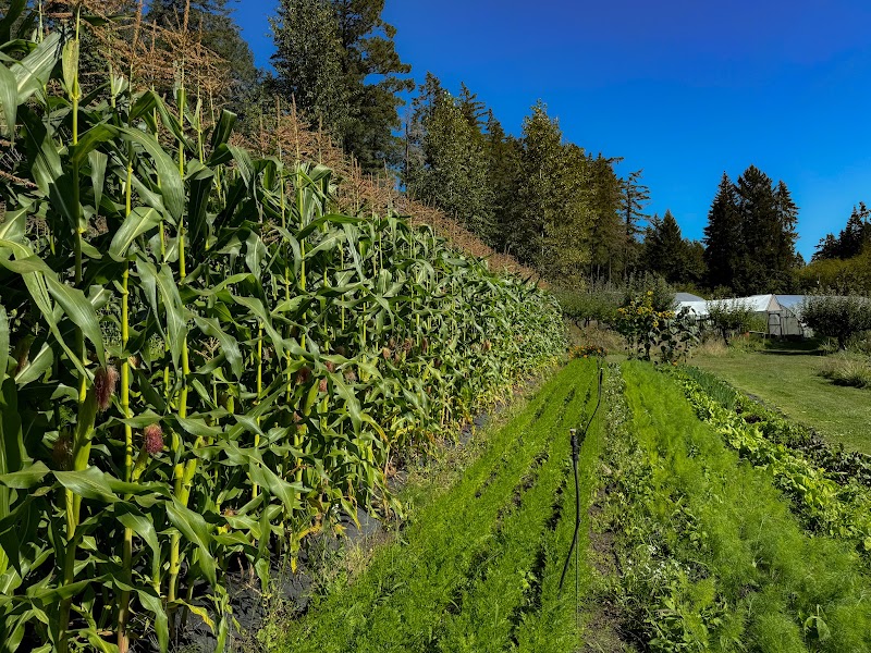 Duck Creek Farm 5