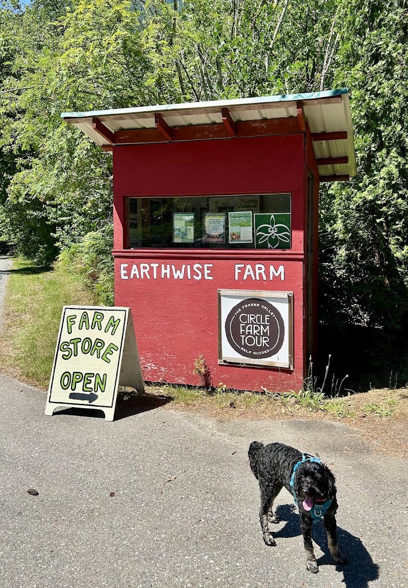 Earthwise Society 5