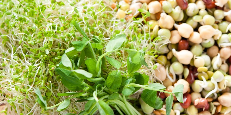 Eatmore Sprouts & Greens