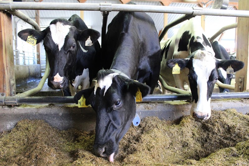EcoFarm