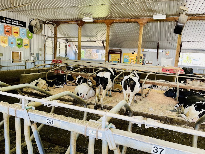 EcoFarm 5