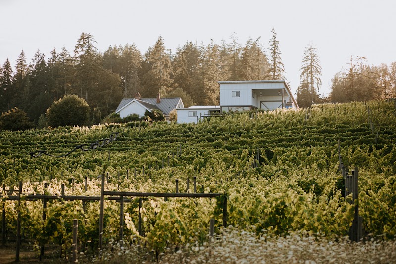 Emandare Vineyard