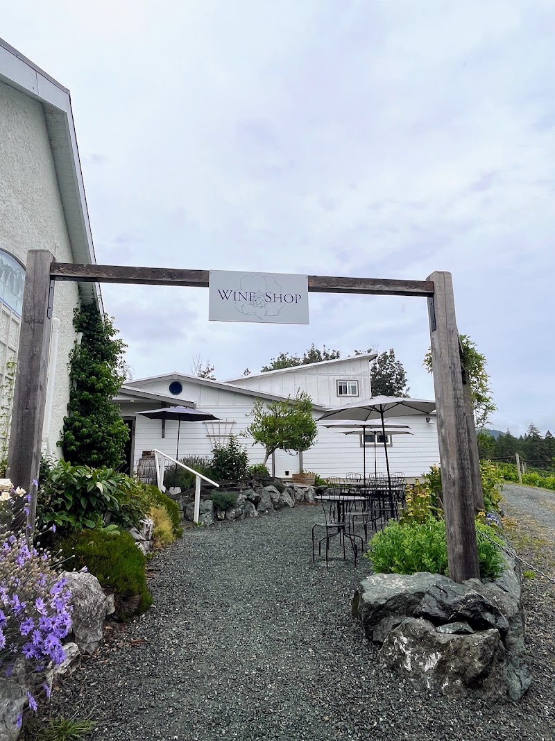 Emandare Vineyard 4