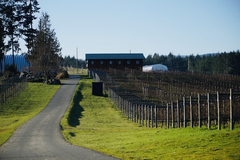 Enrico Winery 5