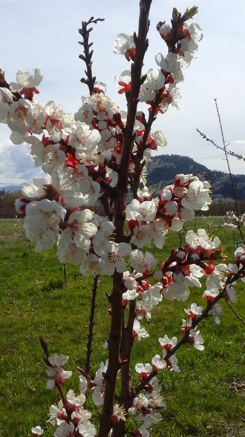 EP Orchards