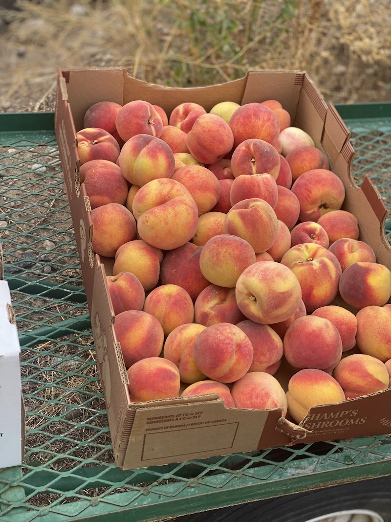 EP Orchards 3