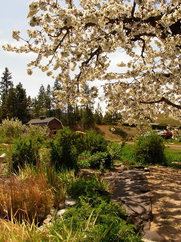 Fair Winds Orchard