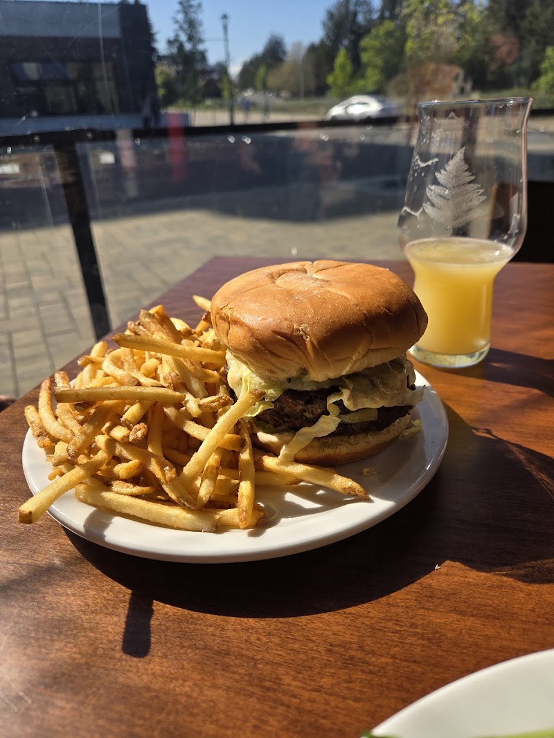 Fern + Cedar Brewing Company 2