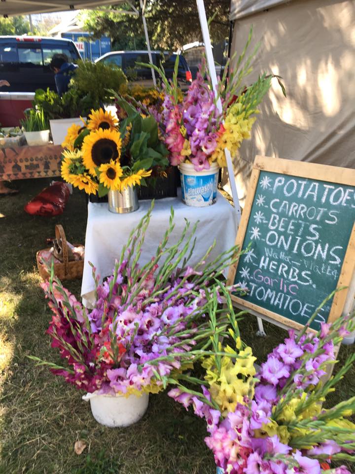 Fernie Mountain Market