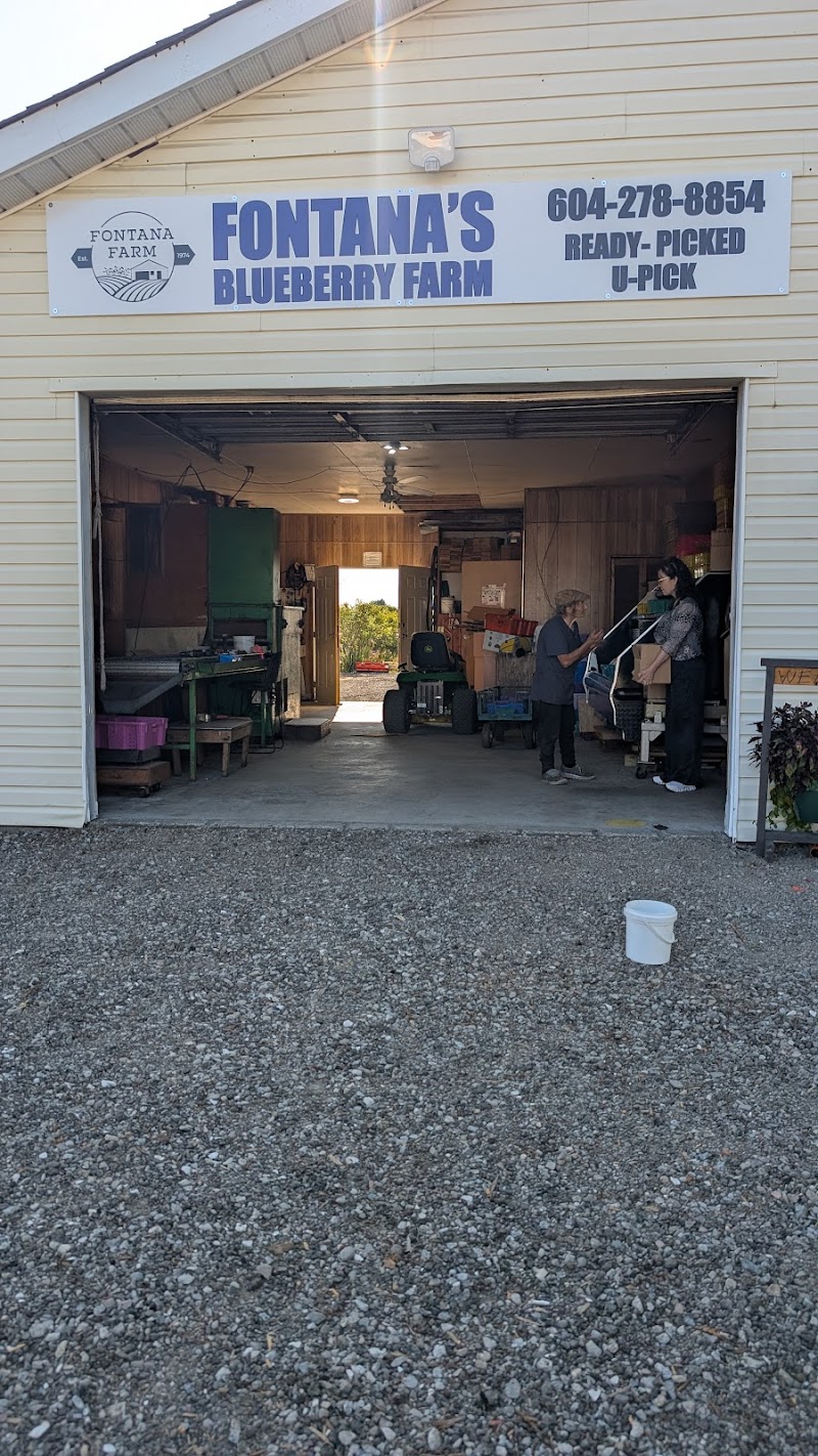 Fontana's Blueberry Farm