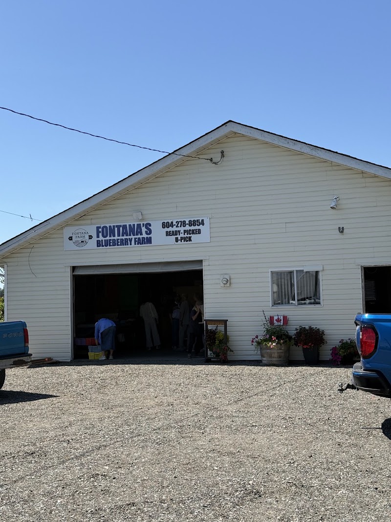 Fontana's Blueberry Farm 5