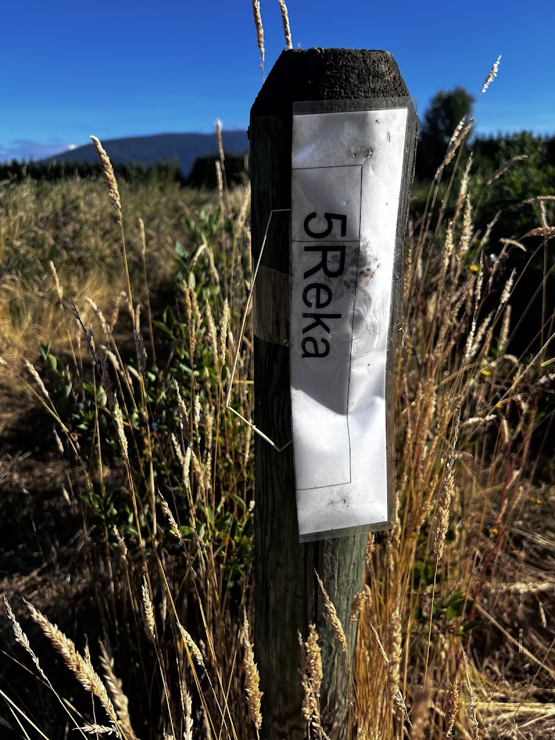 For Ever Green Farm 5