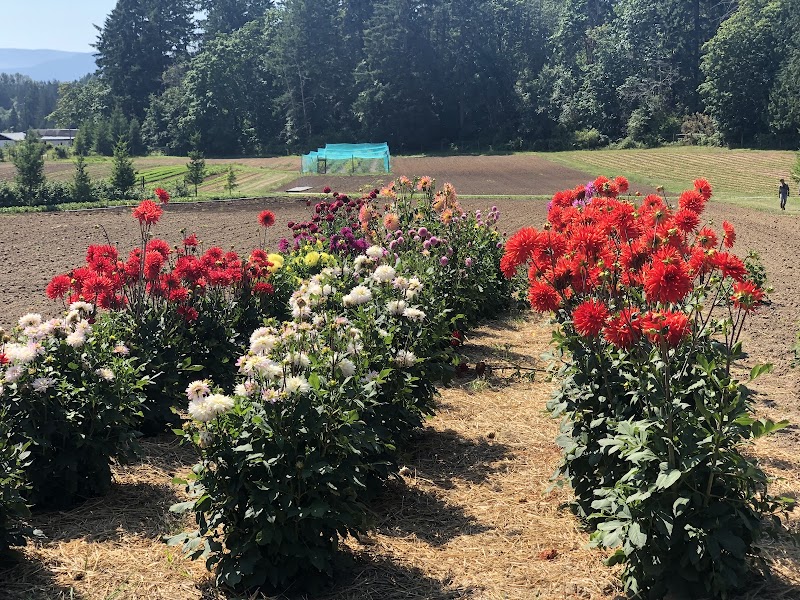 Formerly Dudink's Garden - Nesvog Family Farm 4