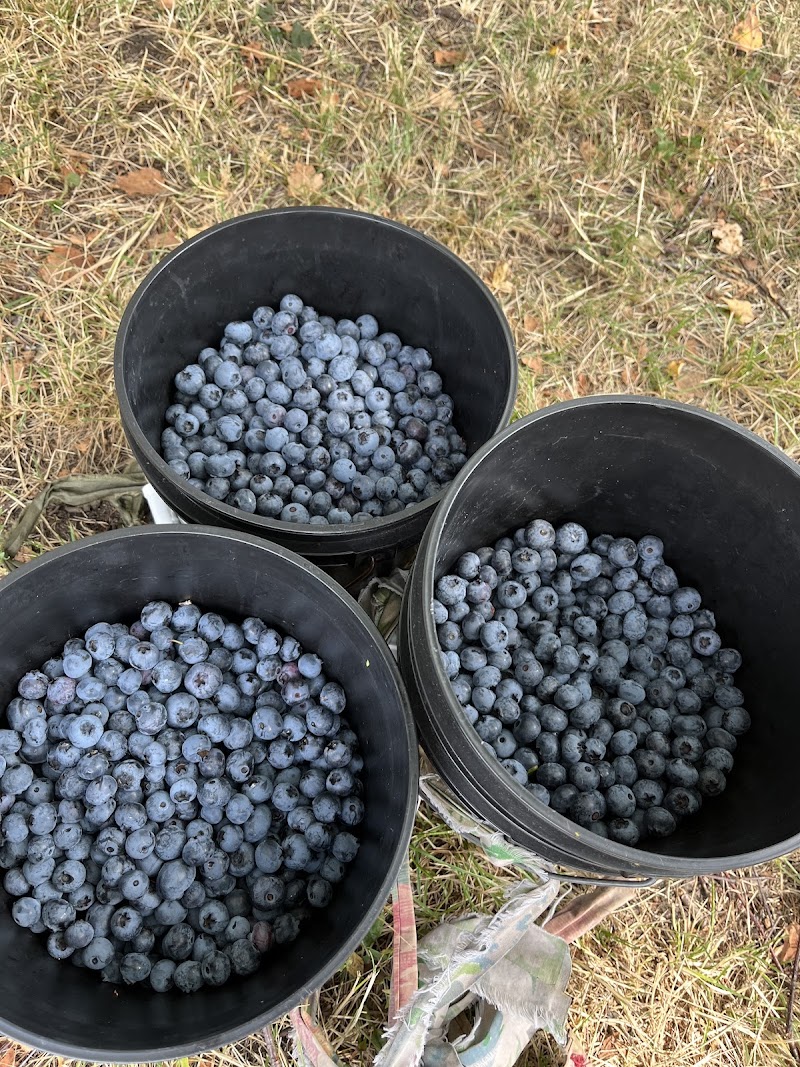 Formosa Organic Farm 3