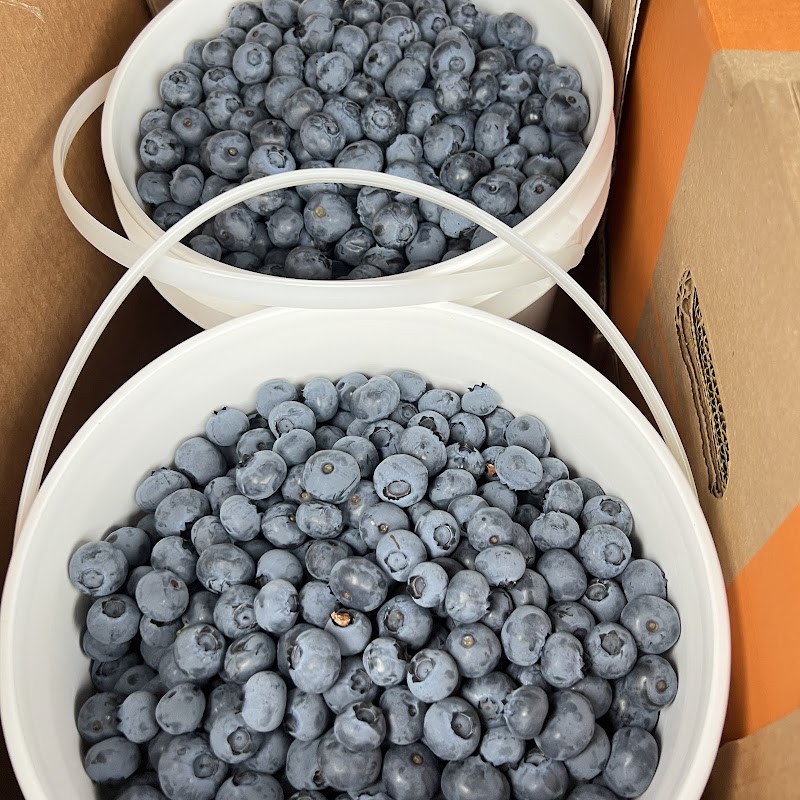 Forstbauer Family Natural Food Farm - Farm Stand and U-Pick Blueberries 5