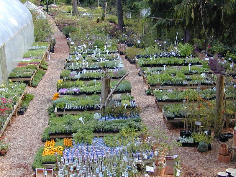 Fraser's Thimble Farm