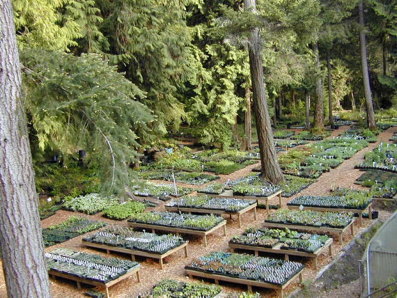 Fraser's Thimble Farm 3