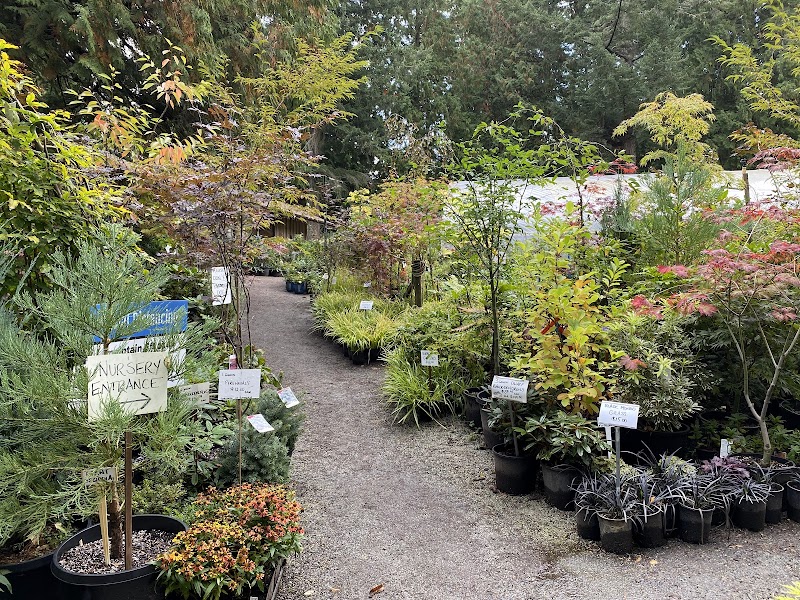 Fraser's Thimble Farm 4