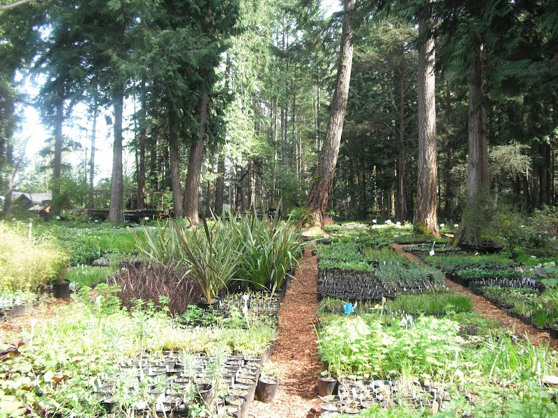 Fraser's Thimble Farm 5