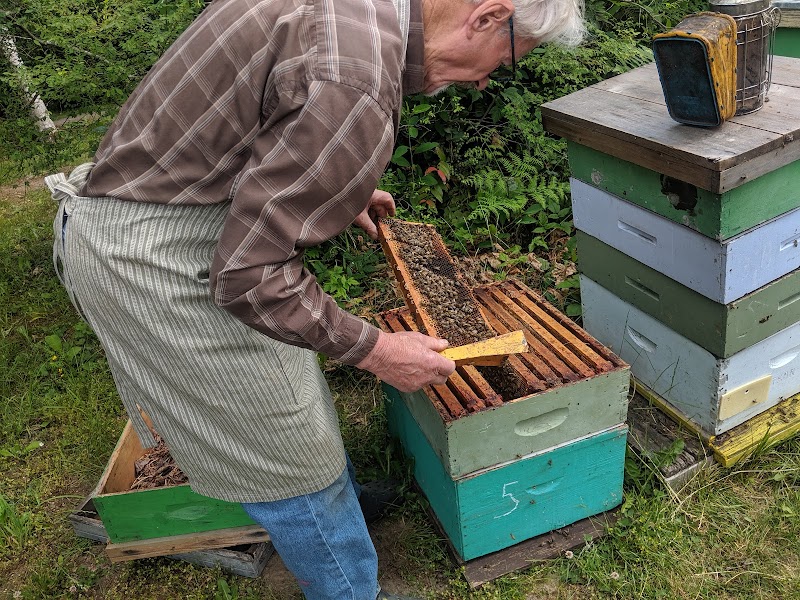 Fredrich's Honey 5