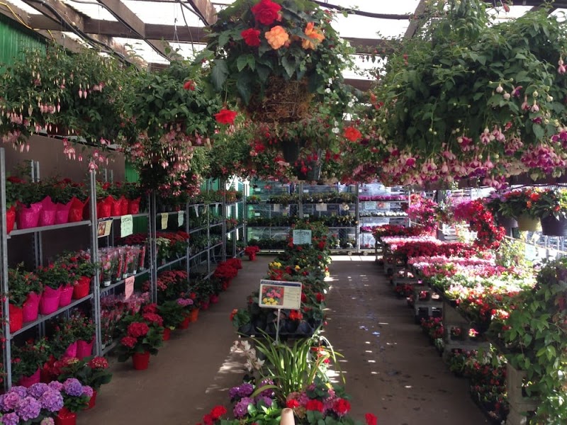 Fresh Choice Farm 2