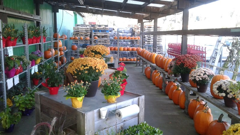 Fresh Choice Farm 3