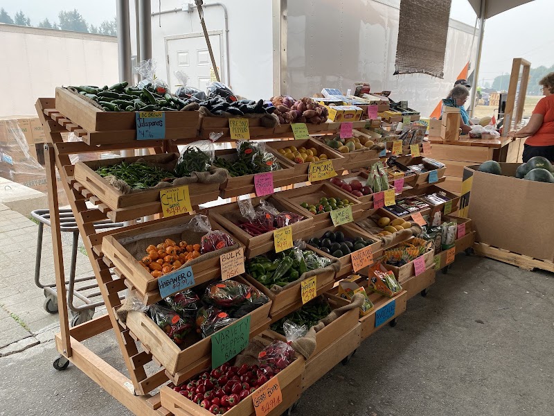 Fruit World 4