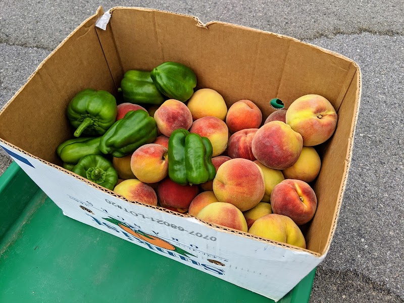 Fruit's Heaven Market 5