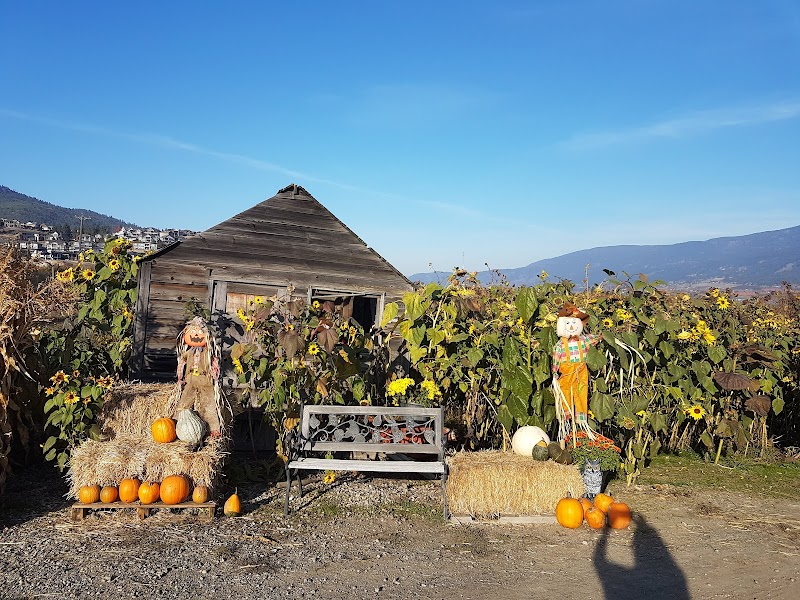 Gambell Farms 2