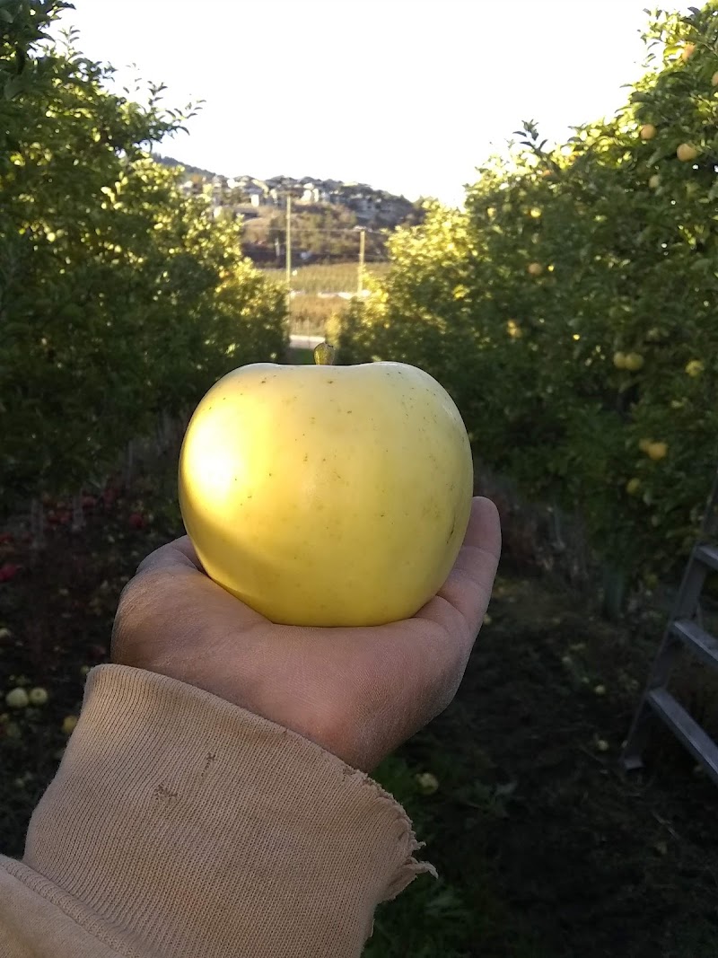 Gambell Farms 4